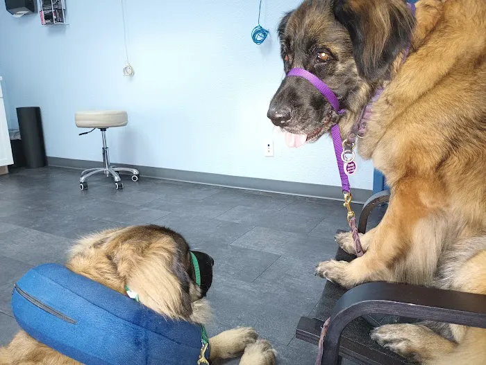Kokopelli Veterinary Center Picture 3