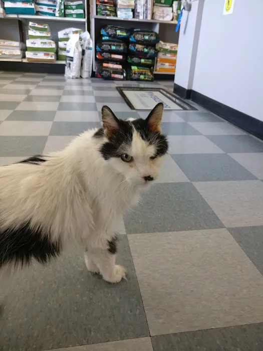 Campus Commons Pet Hospital Picture 3