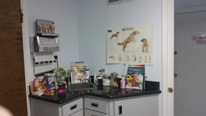 Campus Commons Pet Hospital Picture 9