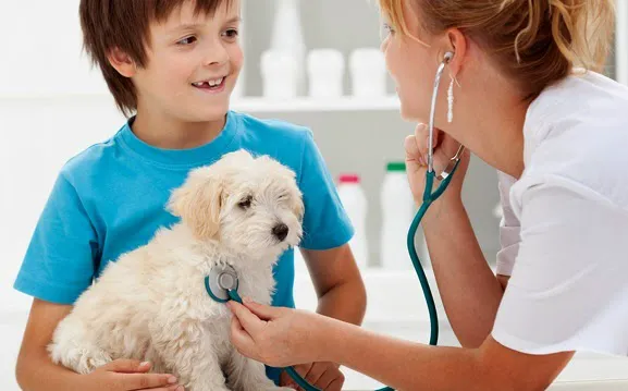 South Sacramento Pet Hospital Picture 3