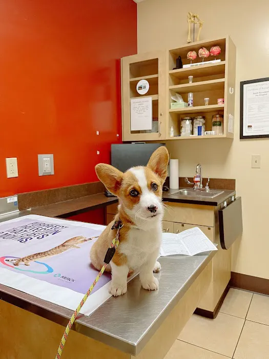 South Sacramento Pet Hospital Picture 2