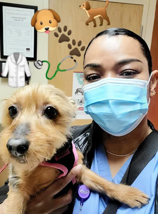 South Sacramento Pet Hospital Picture 4