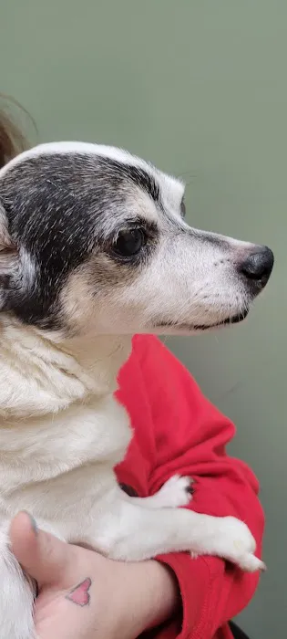 South Sacramento Pet Hospital Picture 9