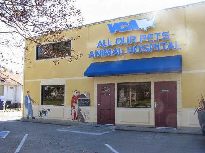 VCA All Our Pets Animal Hospital Picture 2