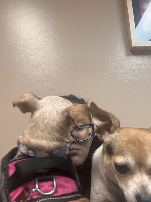 VCA All Our Pets Animal Hospital Picture 8