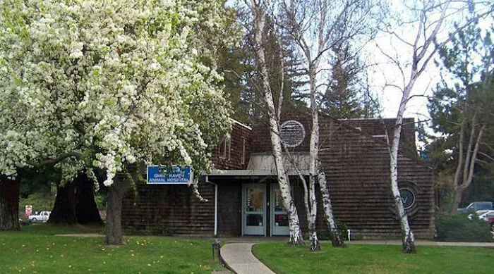 VCA Greenhaven Pocket Animal Hospital Picture 3