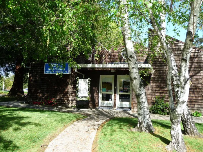 VCA Greenhaven Pocket Animal Hospital Picture 5