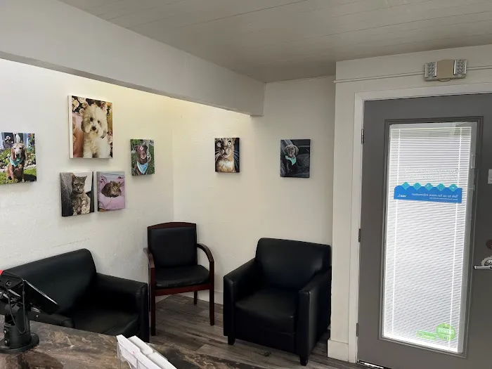 VCA Greenhaven Pocket Animal Hospital Picture 8
