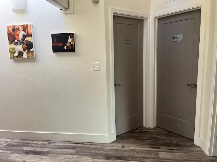 VCA Greenhaven Pocket Animal Hospital Picture 9
