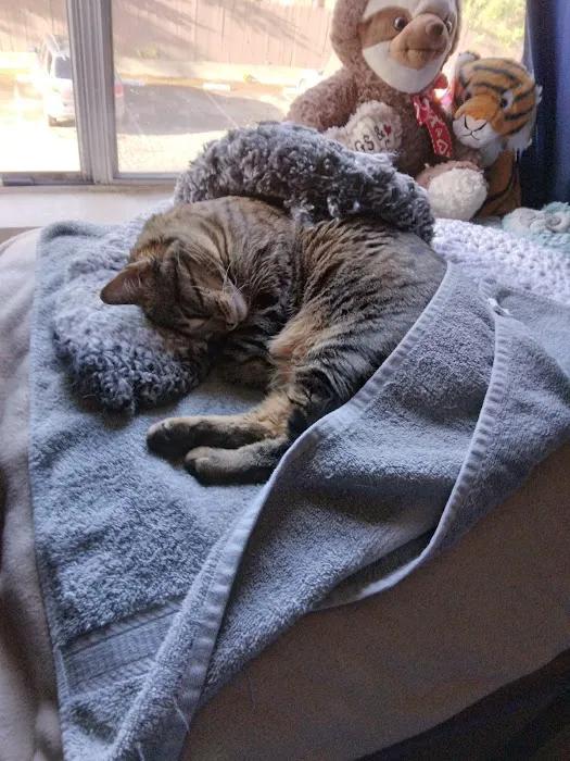 Banfield Pet Hospital Picture 3