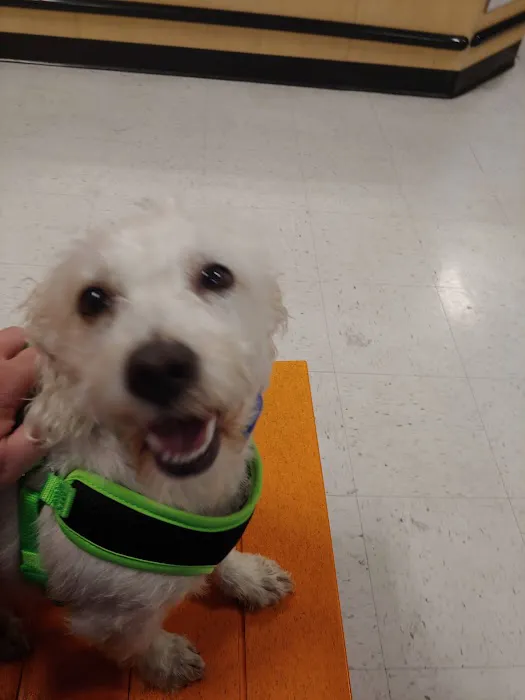 Banfield Pet Hospital Picture 9