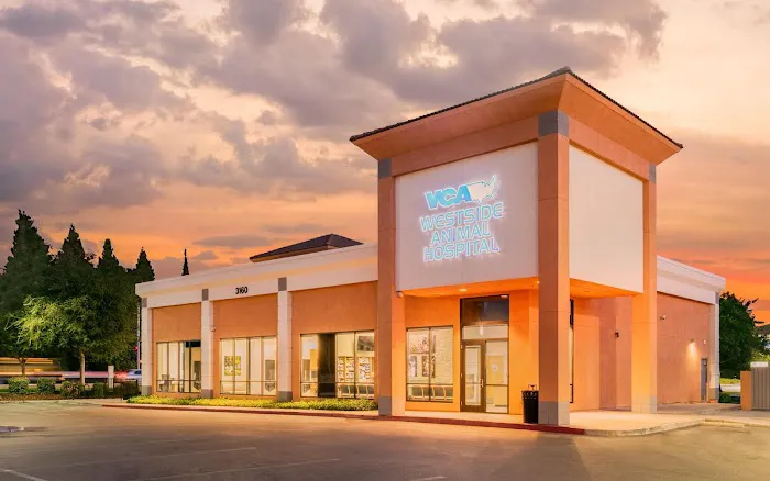 VCA Westside Animal Hospital Picture 3