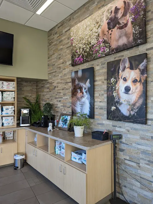 VCA Westside Animal Hospital Picture 1