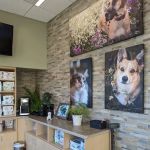 VCA Westside Animal Hospital