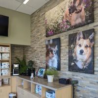 VCA Westside Animal Hospital ico