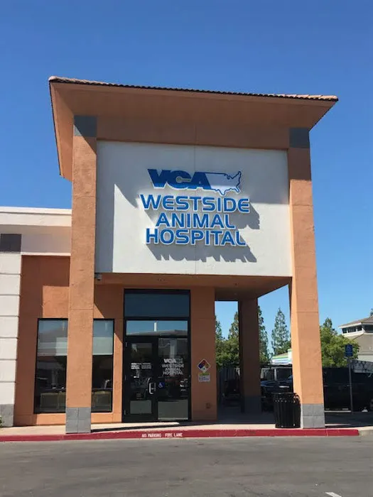 VCA Westside Animal Hospital Picture 2
