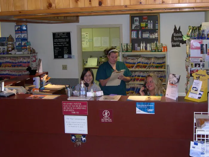 VCA Westside Animal Hospital Picture 4