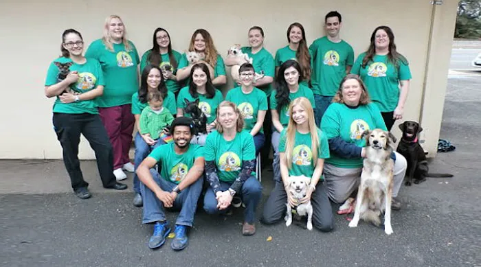 VCA Westside Animal Hospital Picture 5