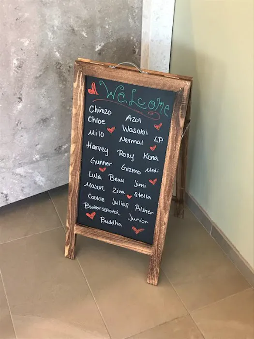 VCA Westside Animal Hospital Picture 6