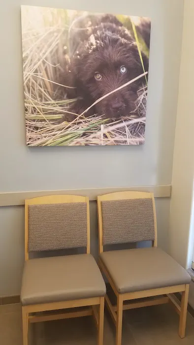 VCA Westside Animal Hospital Picture 8