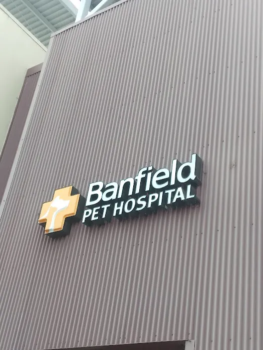 Banfield Pet Hospital Picture 4