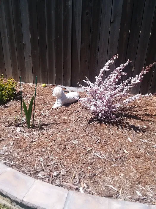 Banfield Pet Hospital Picture 5