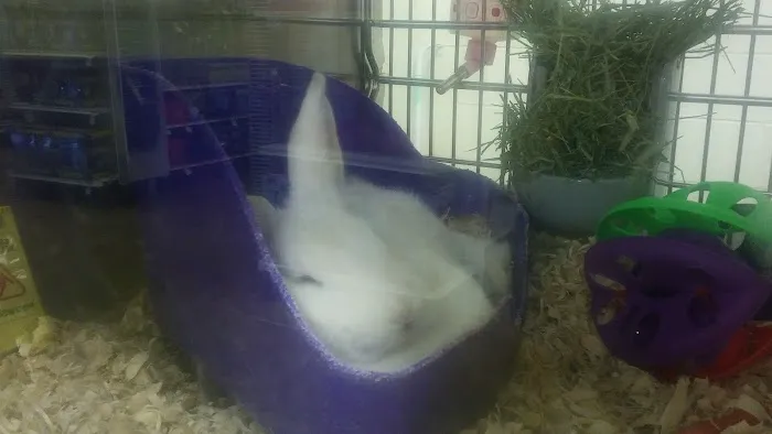 Banfield Pet Hospital Picture 7