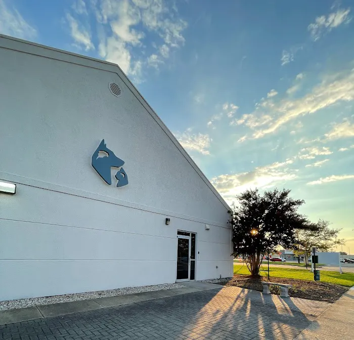 Southeast Veterinary Neurology Picture 3