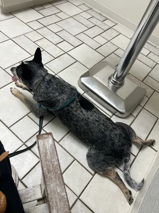Timberlake Veterinary Hospital Picture 5
