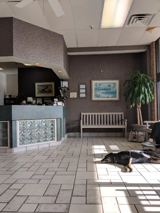 Timberlake Veterinary Hospital Picture 4