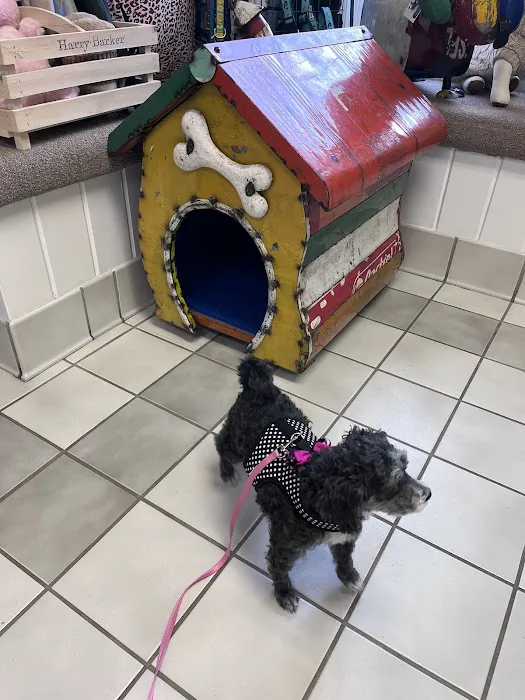 General Booth Veterinary Hospital Picture 4