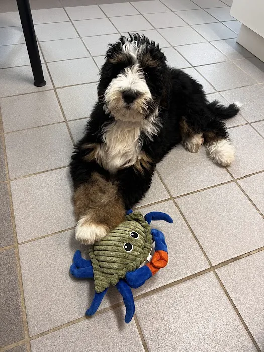 General Booth Veterinary Hospital Picture 8