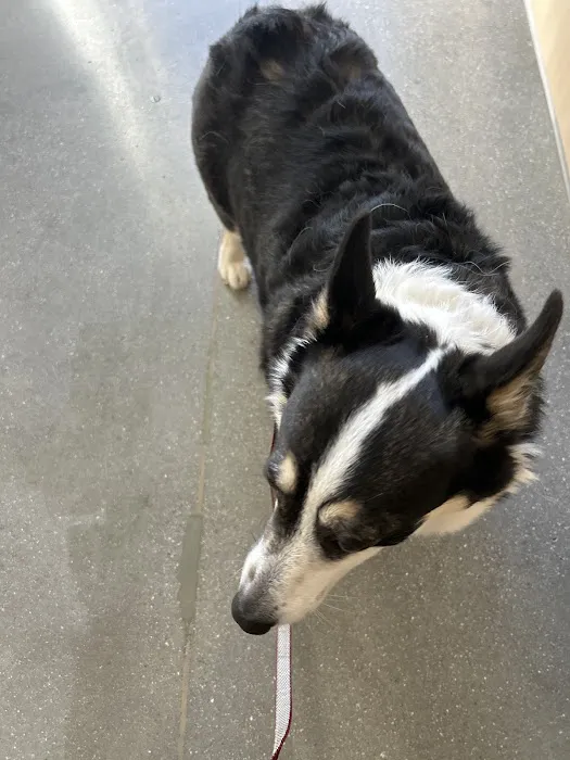 Vetco Total Care Animal Hospital Picture 7