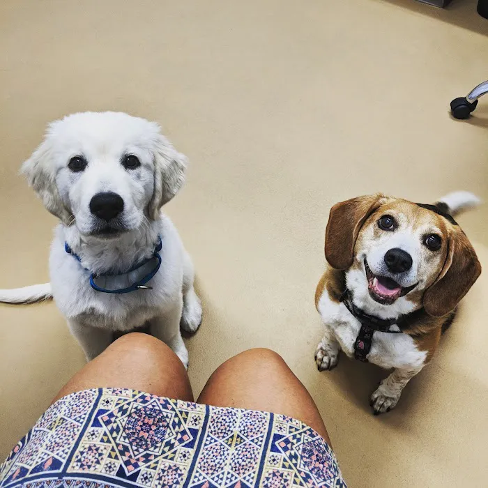 Healing With Heart Veterinary Care Picture 7