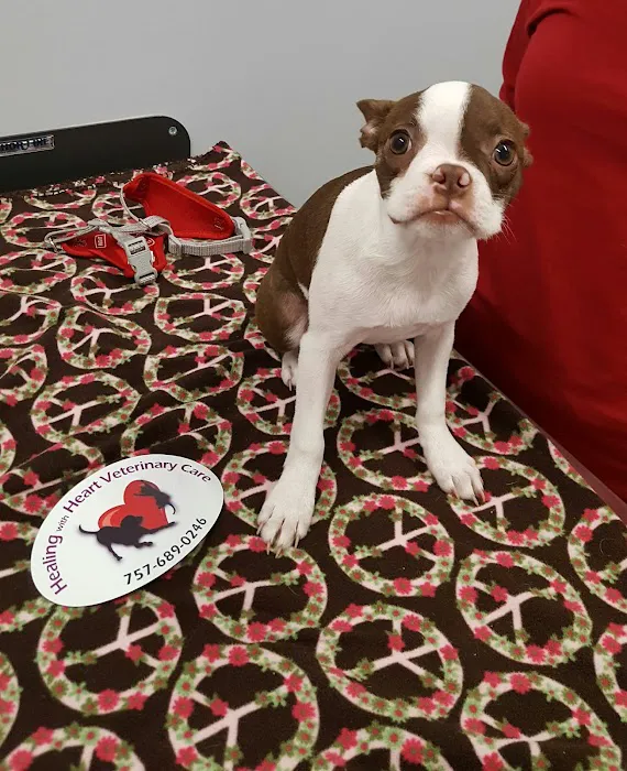 Healing With Heart Veterinary Care Picture 5