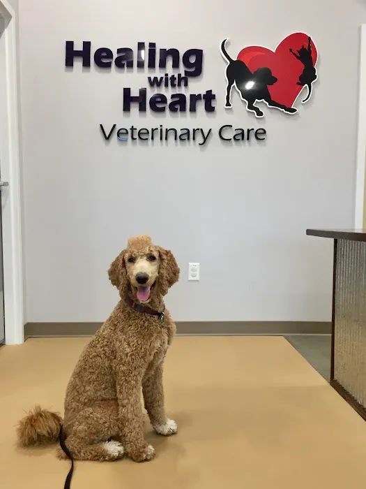 Healing With Heart Veterinary Care Picture 9