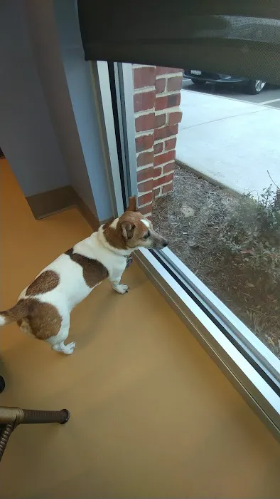 Healing With Heart Veterinary Care Picture 10