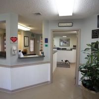 Princess Anne Veterinary Hospital ico