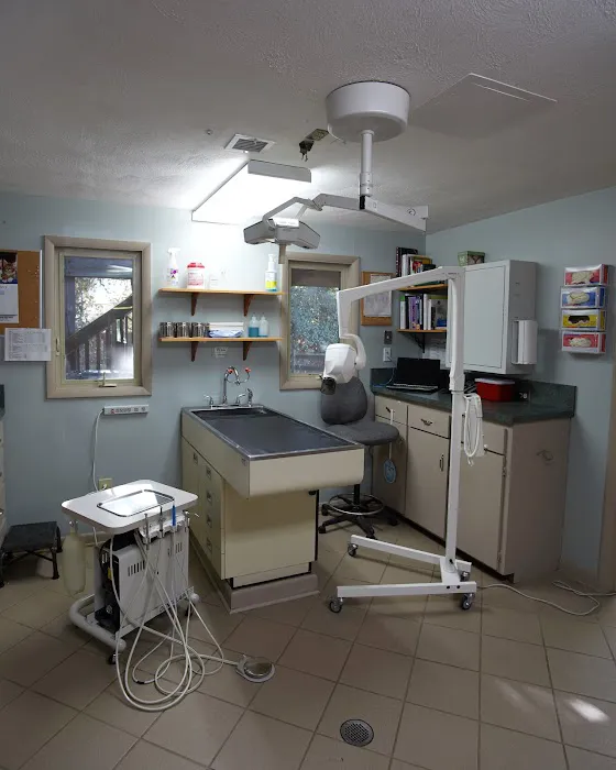 Princess Anne Veterinary Hospital Picture 3