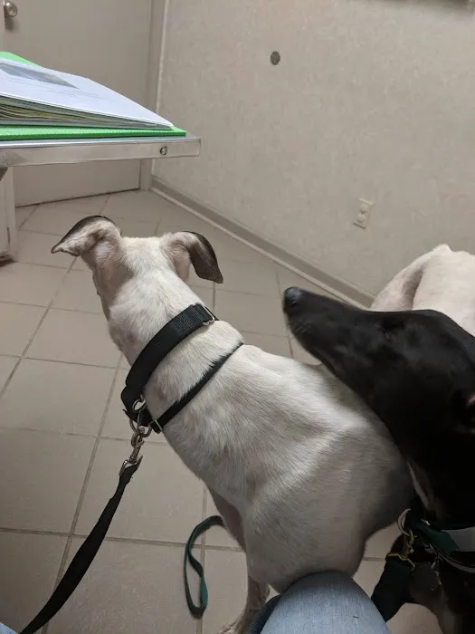 Princess Anne Veterinary Hospital Picture 10