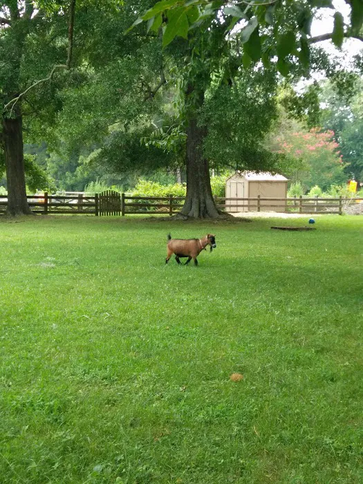 Princess Anne Veterinary Hospital Picture 7