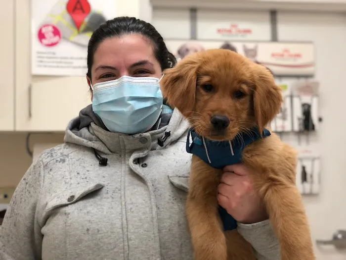Courthouse Veterinary Clinic Picture 6