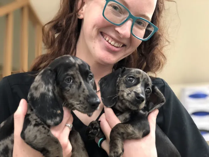 Courthouse Veterinary Clinic Picture 10
