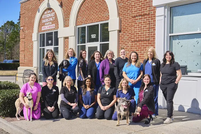 Bay Beach Veterinary Emergency Hospital Picture 1