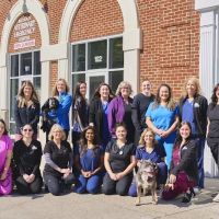 Bay Beach Veterinary Emergency Hospital ico