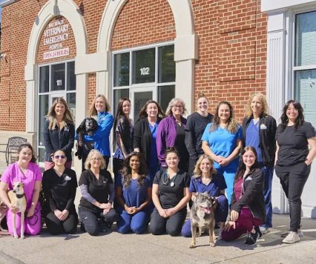 Bay Beach Veterinary Emergency Hospital