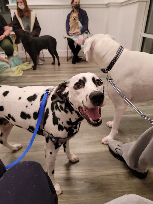 Bay Beach Veterinary Emergency Hospital Picture 8