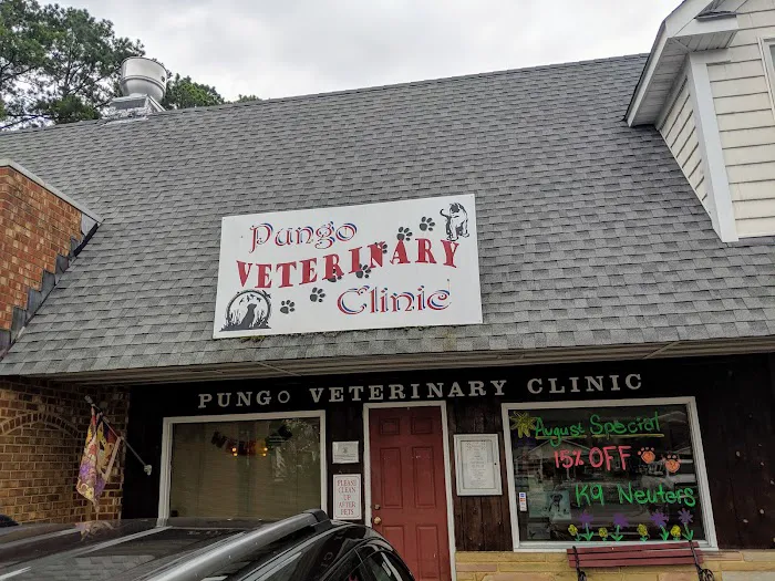Pungo Veterinary Clinic Picture 2