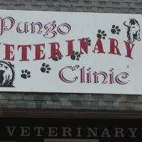 Pungo Veterinary Clinic ico