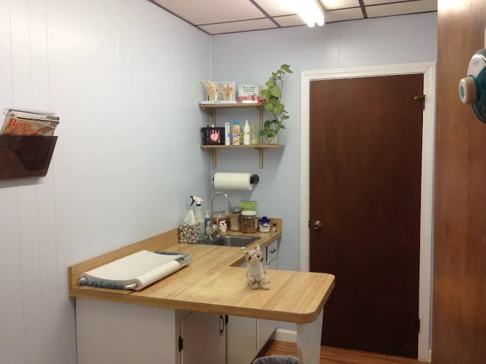 Pungo Veterinary Clinic Picture 4